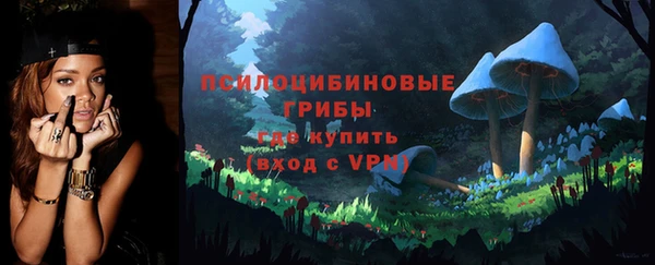 прущие грибы Алексеевка