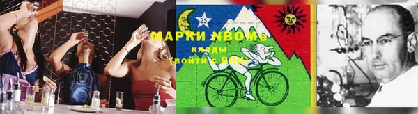 крисы Алзамай