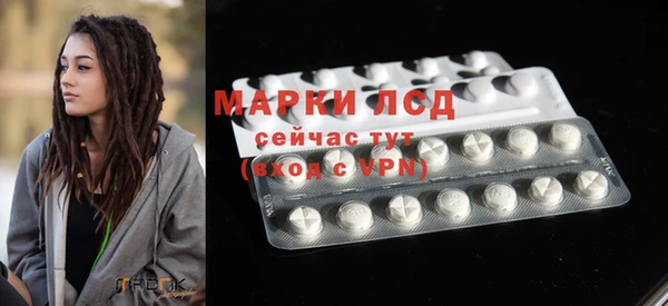 крисы Алзамай