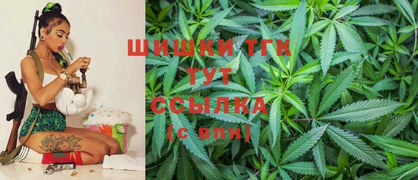 прущие грибы Алексеевка