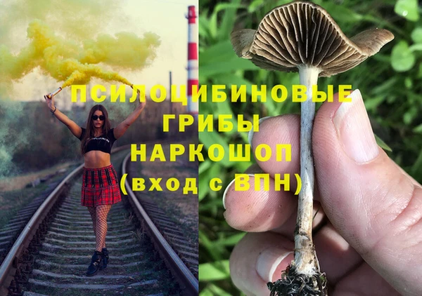 мескалин Алексин