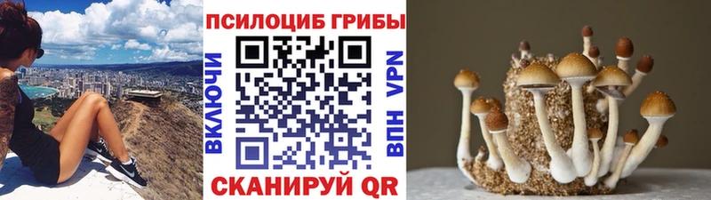 Галлюциногенные грибы Psilocybe Сланцы