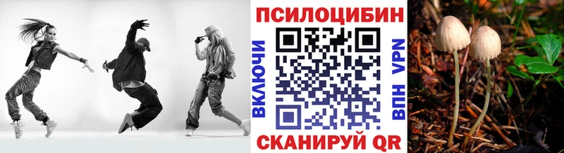 Галлюциногенные грибы ЛСД  Купить  Сланцы 